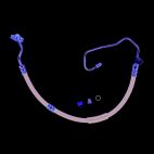 Power Steering Pressure Hose