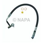 Power Steering Pressure Hose
