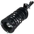Suspension Strut Assembly