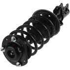 Suspension Strut Assembly