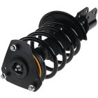 Suspension Strut Assembly