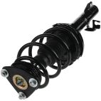 Suspension Strut Assembly