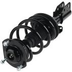 Suspension Strut Assembly