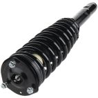 Suspension Strut Assembly