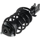 Suspension Strut Assembly