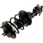 Suspension Strut Assembly