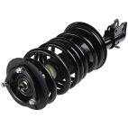 Suspension Strut Assembly