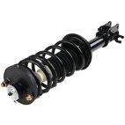 Suspension Strut Assembly