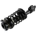 Suspension Strut Assembly