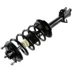 Suspension Strut Assembly