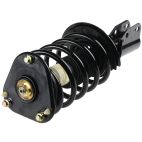 Suspension Strut Assembly