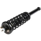 Suspension Strut Assembly