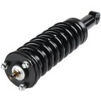 Suspension Strut Assembly
