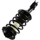 Suspension Strut Assembly