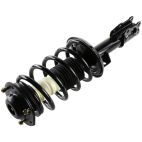Suspension Strut Assembly
