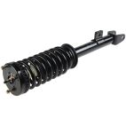 Suspension Strut Assembly
