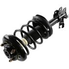 Suspension Strut Assembly