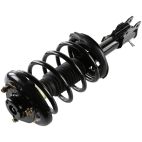 Suspension Strut Assembly