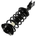 Suspension Strut Assembly