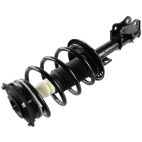 Suspension Strut Assembly
