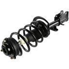 Suspension Strut Assembly