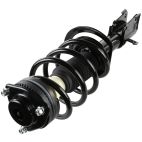 Suspension Strut Assembly