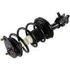 Suspension Strut Assembly