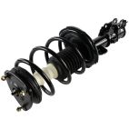Suspension Strut Assembly
