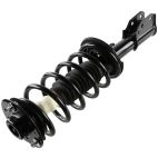 Suspension Strut Assembly