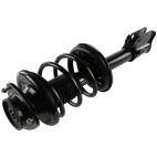 Suspension Strut Assembly