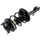 Suspension Strut Assembly