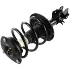 Suspension Strut Assembly
