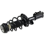 Suspension Strut Assembly
