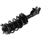 Suspension Strut Assembly
