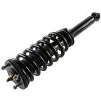Suspension Strut Assembly