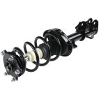 Suspension Strut Assembly