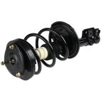 Suspension Strut Assembly