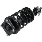 Suspension Strut Assembly