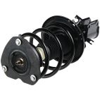 Suspension Strut Assembly