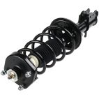 Suspension Strut Assembly