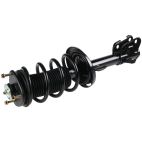 Suspension Strut Assembly