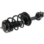 Suspension Strut Assembly