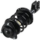 Suspension Strut Assembly