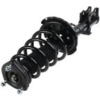 Suspension Strut Assembly