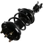 Suspension Strut Assembly