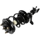 Suspension Strut Assembly