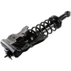 Suspension Strut Assembly