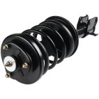 Suspension Strut Assembly