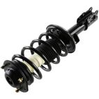 Suspension Strut Assembly