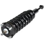 Suspension Strut Assembly